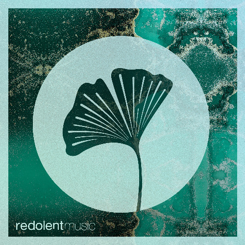 RDT102 Randoree, Sahar Sax - Le Lo Le (Including Lujan Fernandez Remix)
