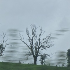 Winds have changed