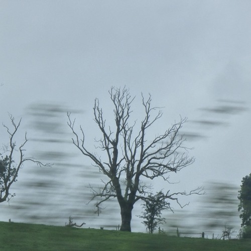 Winds have changed
