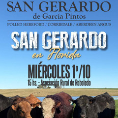 Gerardo García Pintos - Remate San Gerardo