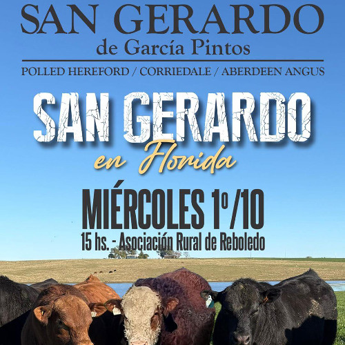 Gerardo García Pintos - Remate San Gerardo