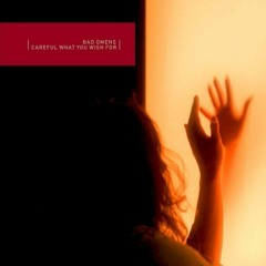 Bad Omens - Careful What You Wish For (INSTRUMENTAL COVER)