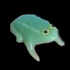You've Ratatted Your Last Touille