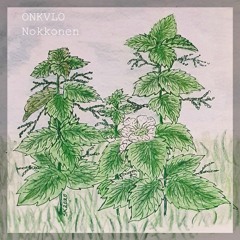 Nokkonen (Nettle)
