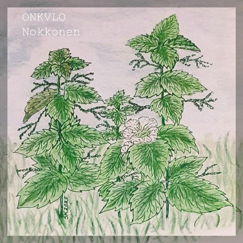Nokkonen (Nettle)
