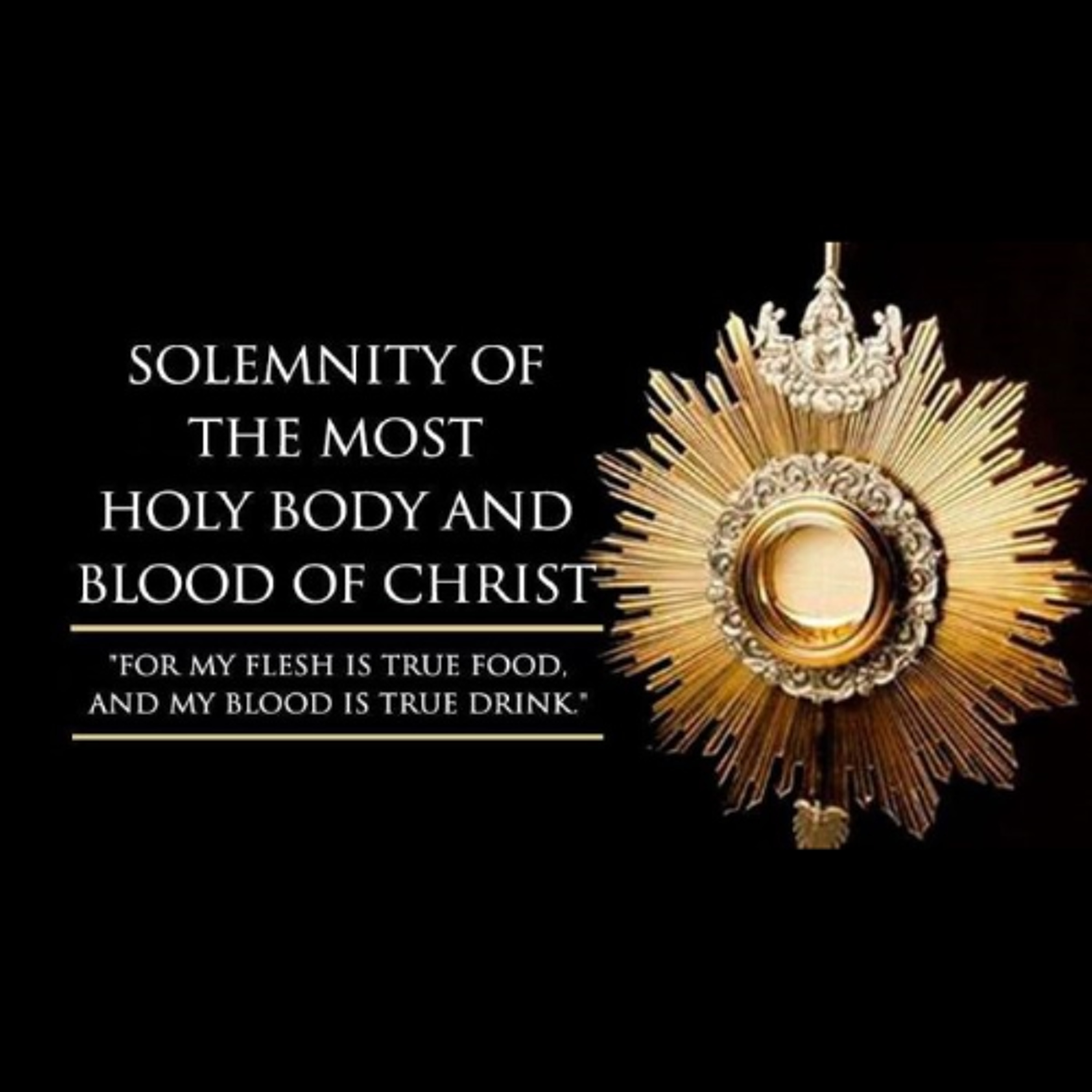Fr. Darrick Leier Homily Podcast