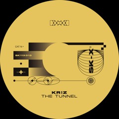 Kr!z - The Tunnel EP [SK11X013]