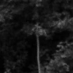 Herbstlich Willkommen6/9/20