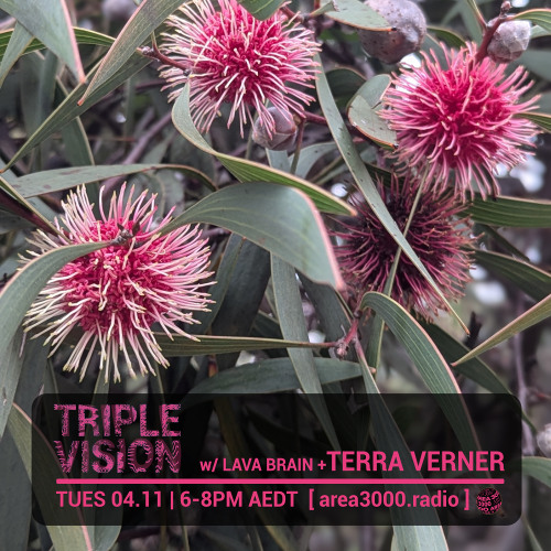 Triple Vision 04.11.25 w Lava Brain + TERRA VERNER [area3000.radio]