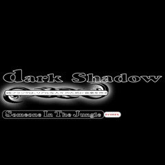 Dark Shadow (Someone In The Jungle remix)