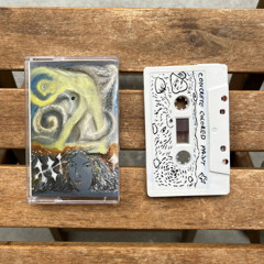 Blutaparon Vermiculare