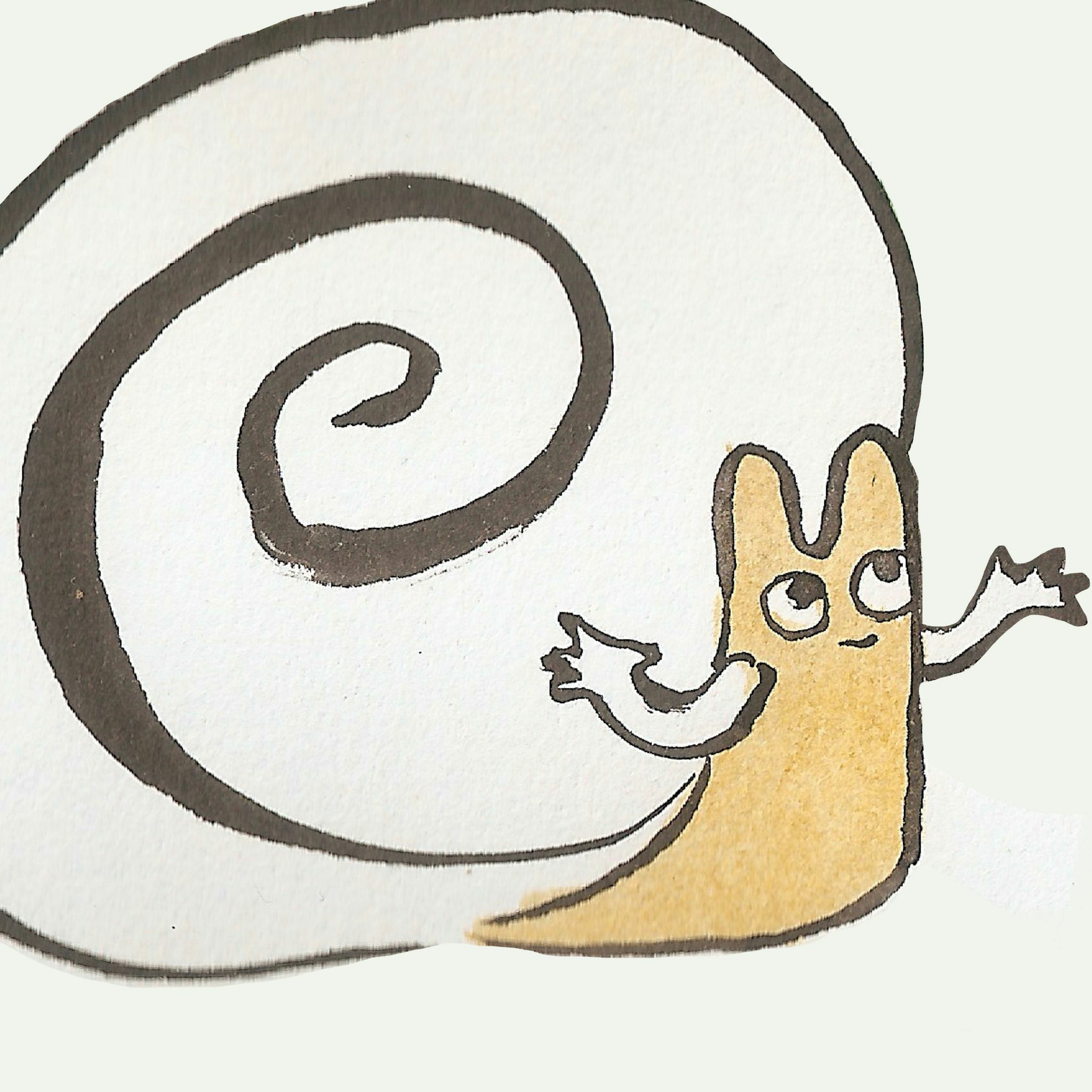 why do i take my shell with me everywhere episode artwork