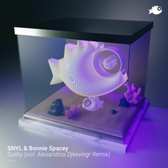 SNYL & Bonnie Spacey - "Guilty" (Alexandros Djkevingr Remix)