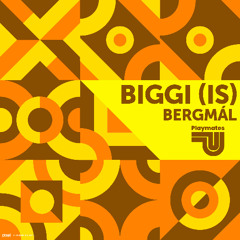 biggi IS - Bergmál