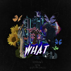 what ya problem (ft.sunplum)