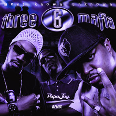 Three Six Mafia - Stay Fly ( PapaJay Remix )