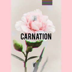 05 CARNATION