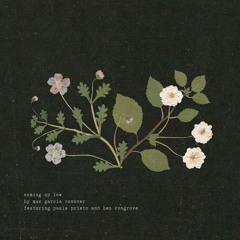 coming up low (featuring paula prieto & ben cosgrove)