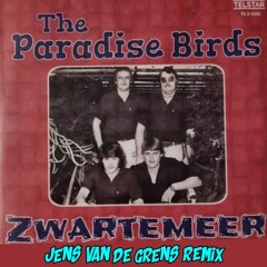 The Paradise Birds - Zwartemeer (Jens Van De Grens REMIX)