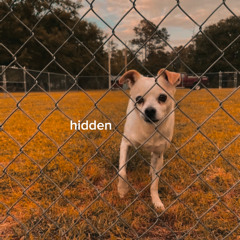 hidden