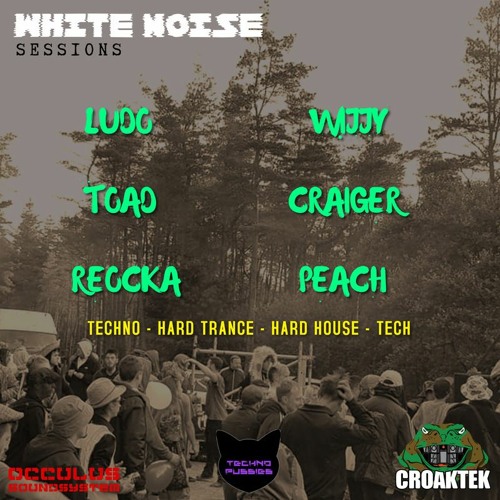 Techno Pussies Live From White Noise Studio - CroakTek Live Stream April 2021