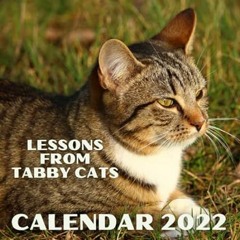 🥭EPUB & PDF Lessons From Tabby Cats Calendar 2022 Mini Monthly Planner With Inspir 🥭