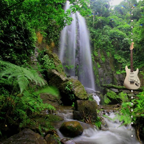 Jungle Gardenia (Mike Oldfield Tribute)