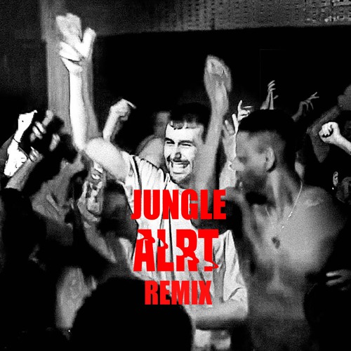 Fred Again.. - Jungle (ALRT REMIX)