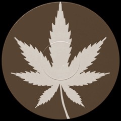 8 kushkushkush
