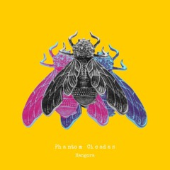 Hangora - Phantom Cicadas
