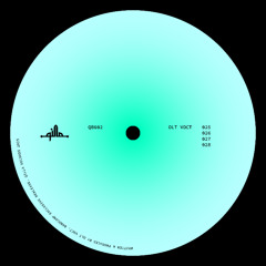 Olt Voct - 028
