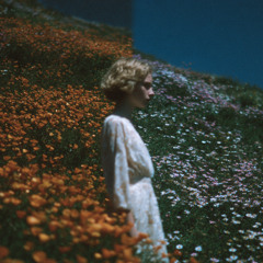 Poppy Sun