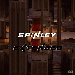 iNFALOW (INFATUNE x Get Low) (SPiNLEY Extended Remix)