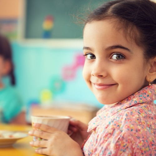 The Evolved Nest Explained: Self - Directed Social Play