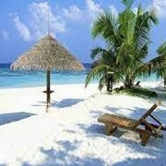 Turno - Live At Muriwai Beach, New Zealand