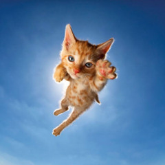supercat