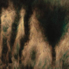 Transfiguration