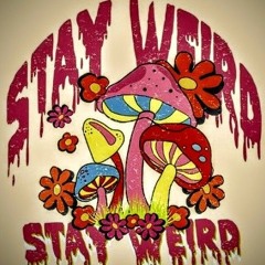 𝖒𝖞 𝖛𝖎𝖇𝖊☆