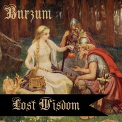 Burzum - Lost Wisdom - (Instrumental Cover)