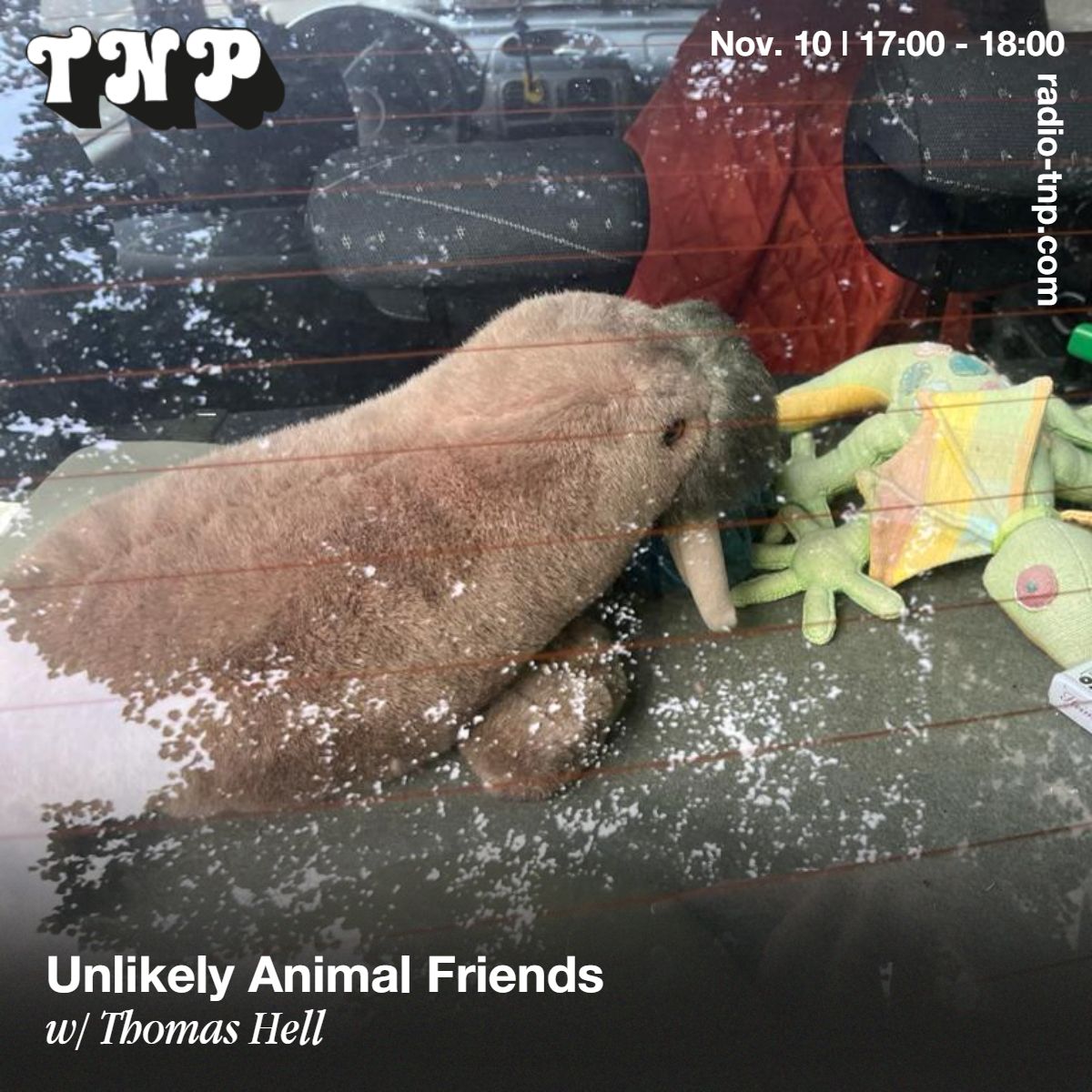 Unlikely Animal Friends w/ Thomas Hell
