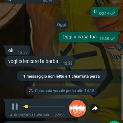 Troia di GTA