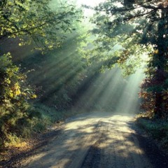 Country Lane