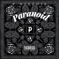Paranoid p.town