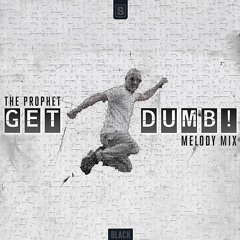 The Prophet - Get Dumb (Melody Mix)