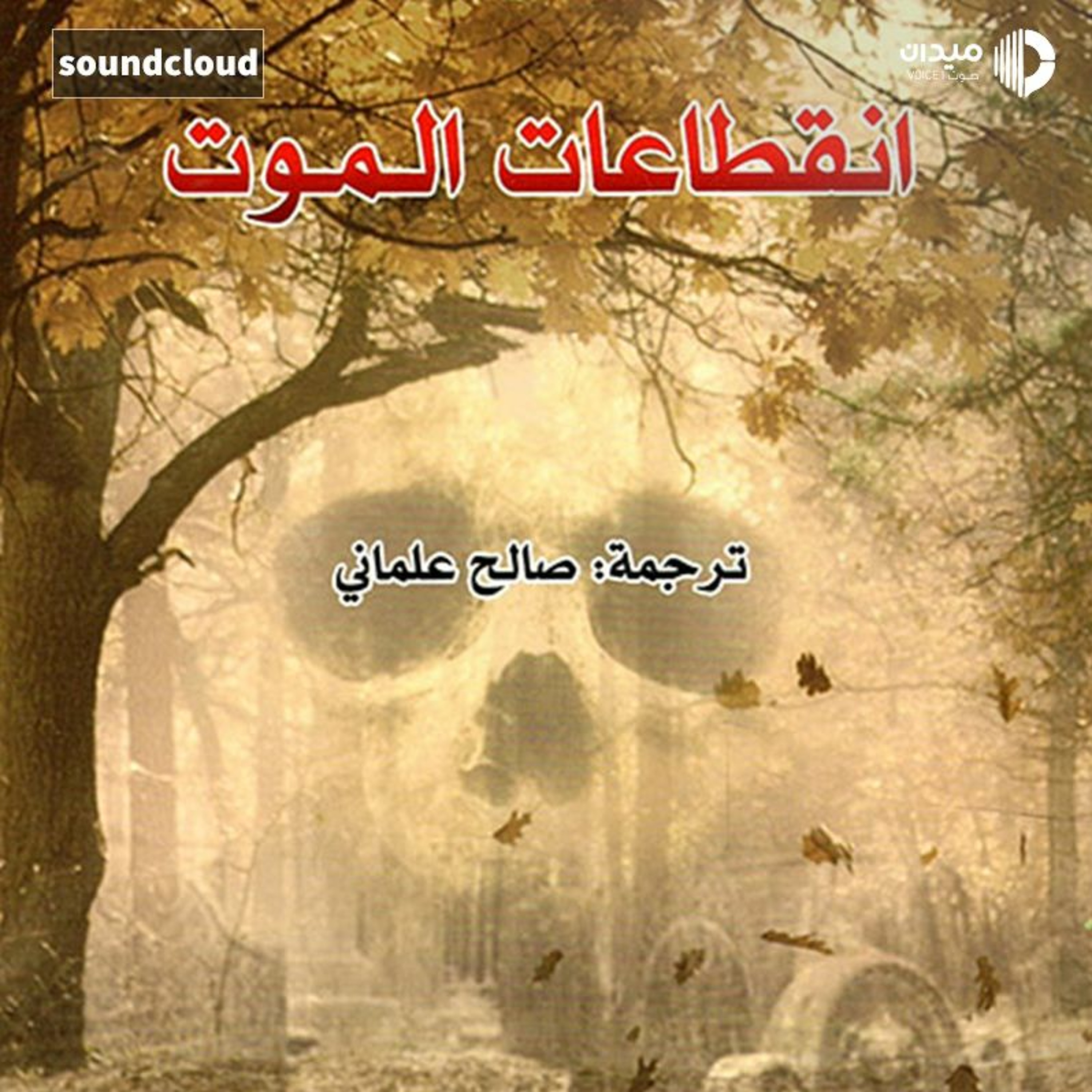 Mtunes