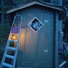 Vaaralliset vessat