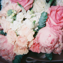 NEVER STOP LOVIN - 1/9/24, 2.50 AM