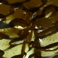 captive l'imagination.