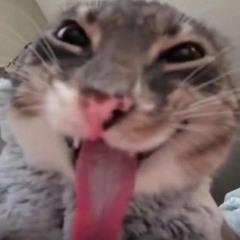 Test Âm Thanh Vol 11 💥