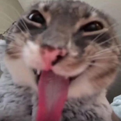 Test Âm Thanh Vol 11 💥